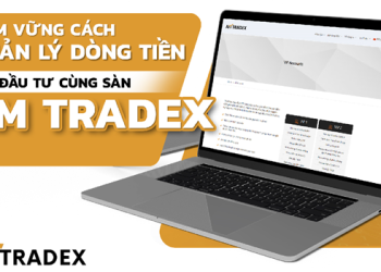 Nắm Vững Ba Yếu Tố Quản Lý Dòng Tiền Cho Trader Cùng Sàn AM TRADEX