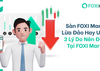 Sàn FOXI Markets Lừa Đảo Hay Uy Tín_ 3 Lý Do Nên Đầu Tư Tại FOXI Markets –