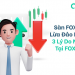 Sàn FOXI Markets Lừa Đảo Hay Uy Tín_ 3 Lý Do Nên Đầu Tư Tại FOXI Markets –