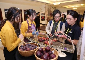 Mận Úc chính thức có mặt tại Việt Nam theo thỏa thuận tiếp cận thị trường nông sản song phương