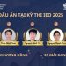 Dấu ấn của đội tuyển Việt Nam tại kỳ thi Olympic Kinh Tế Quốc tế IEO 2025