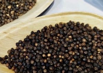 Hệ thống kiểm soát của EU gia tăng cảnh báo với sản phẩm từ nhiều quốc gia